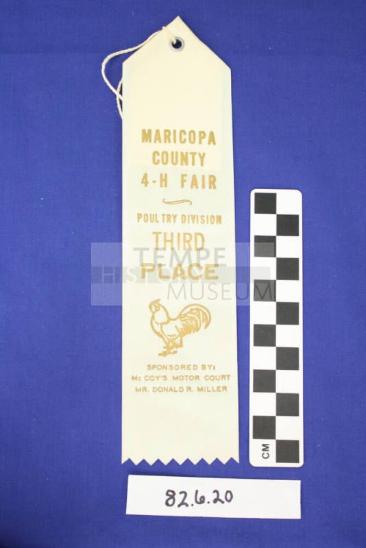 Prize Ribbon