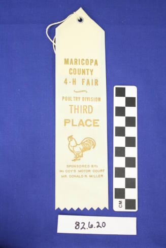 Prize Ribbon
