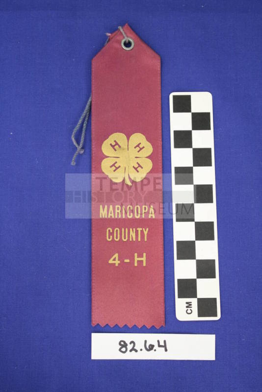 Prize Ribbon