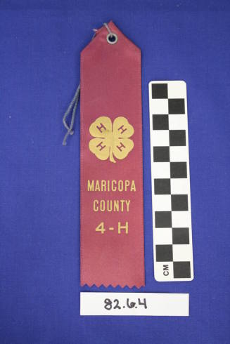 Prize Ribbon