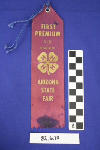 Prize Ribbon