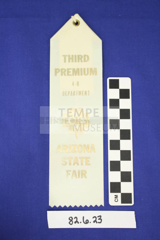 Prize Ribbon