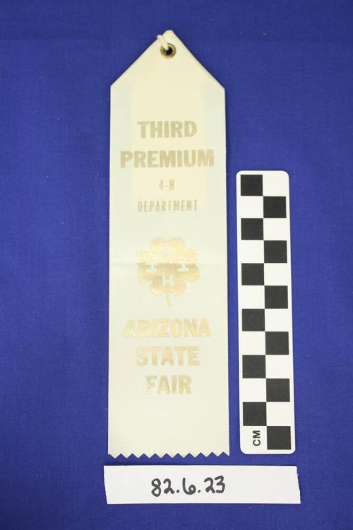 Prize Ribbon