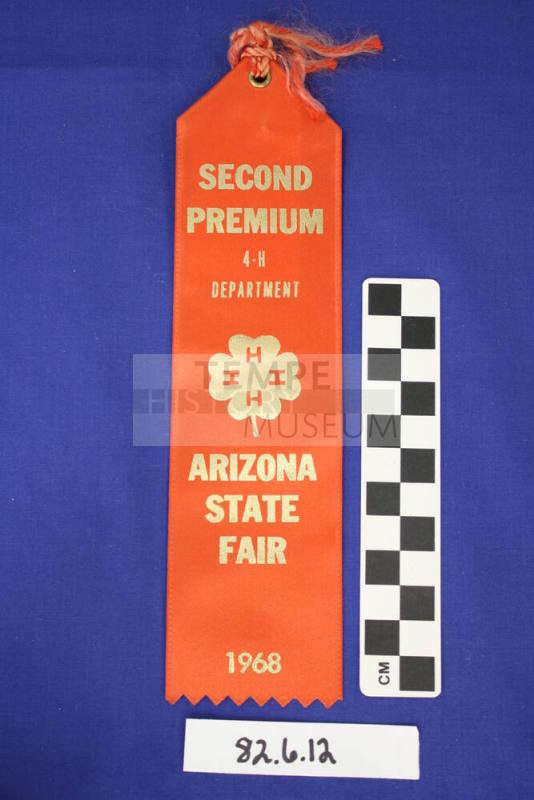 Prize Ribbon