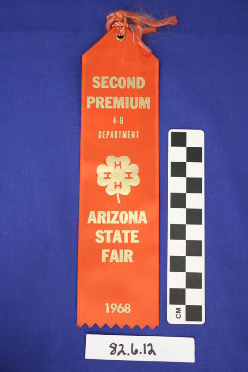 Prize Ribbon