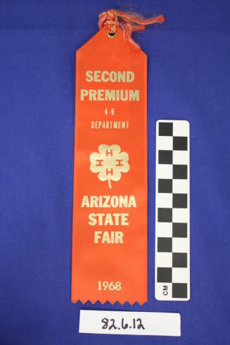 Prize Ribbon