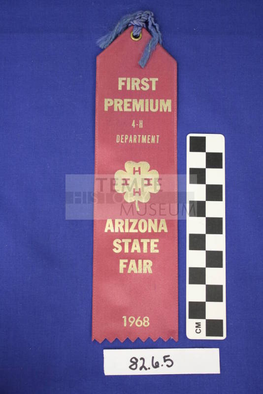 Prize Ribbon