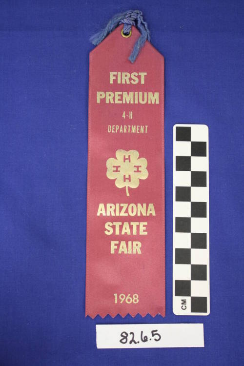 Prize Ribbon