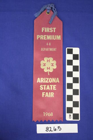 Prize Ribbon