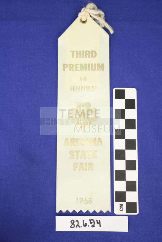 Prize Ribbon