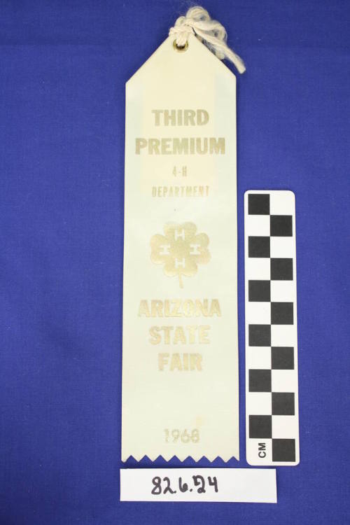 Prize Ribbon