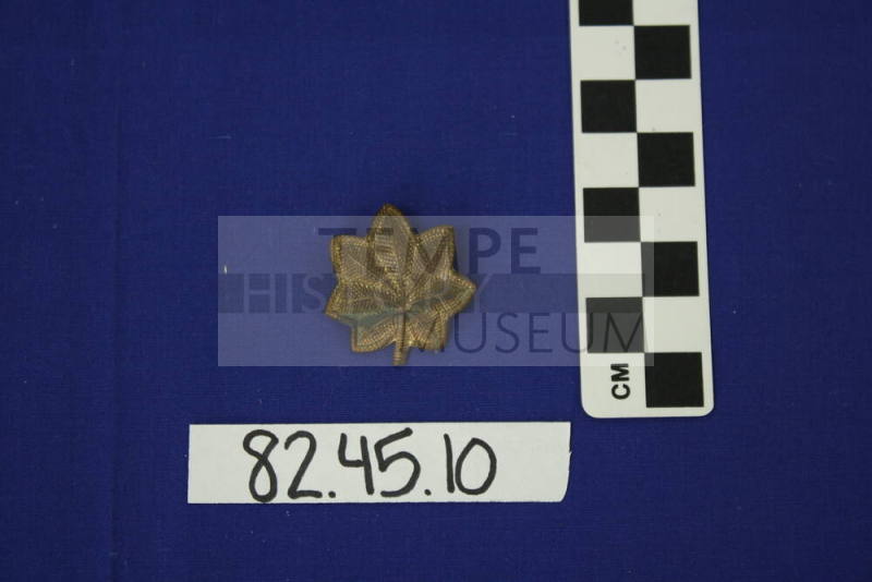 Military Insignia