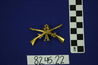 Military Insignia
