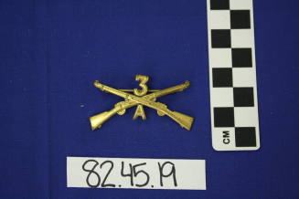 Military Insignia