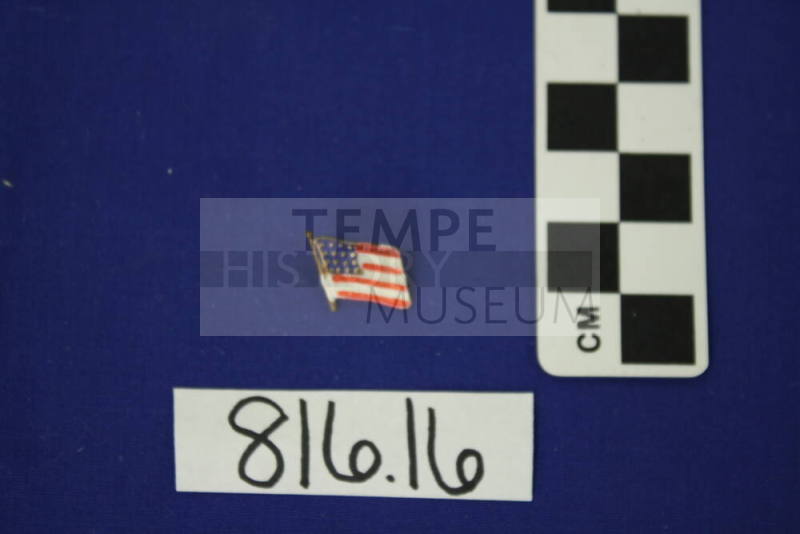 Political Pin