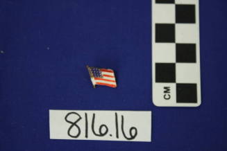 Political Pin