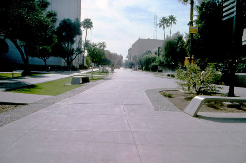 Forest Mall, ASU