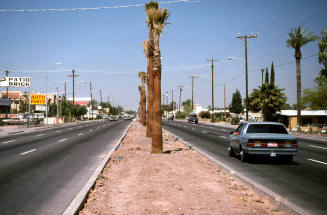 Landscaped Median, East Apache Blvd.