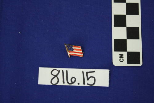 Political Pin