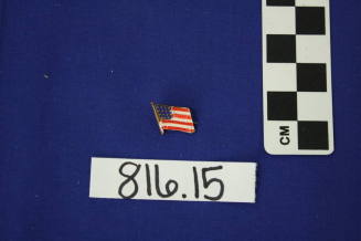 Political Pin