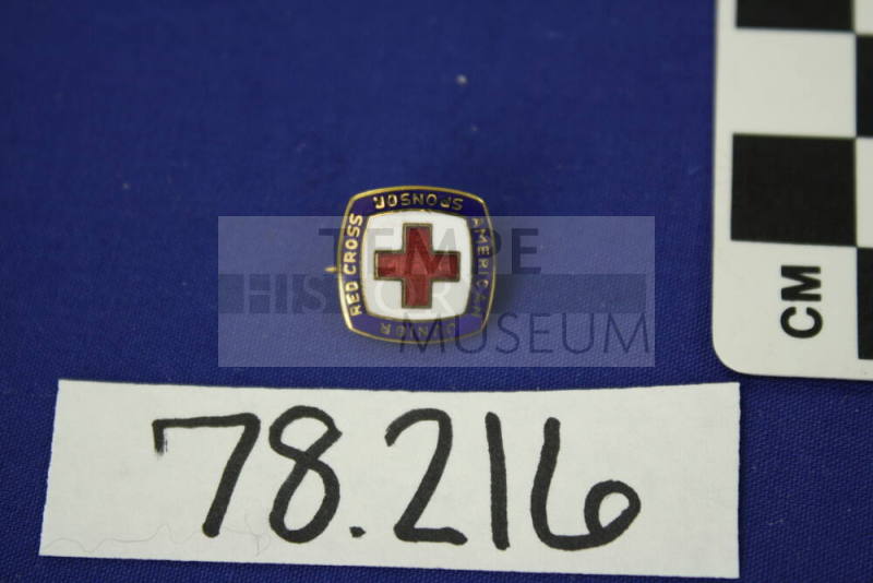 Pin,Campaign