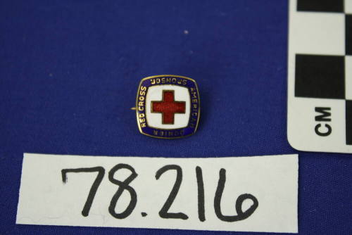 Pin,Campaign