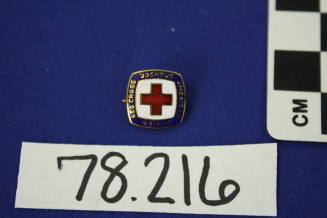 Pin,Campaign