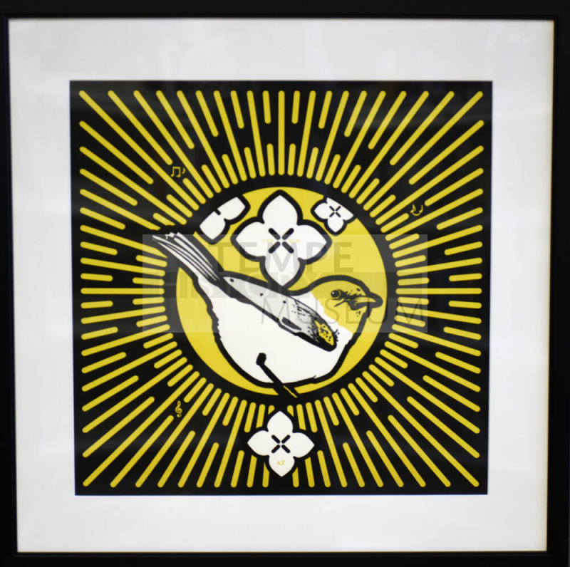 Verdin