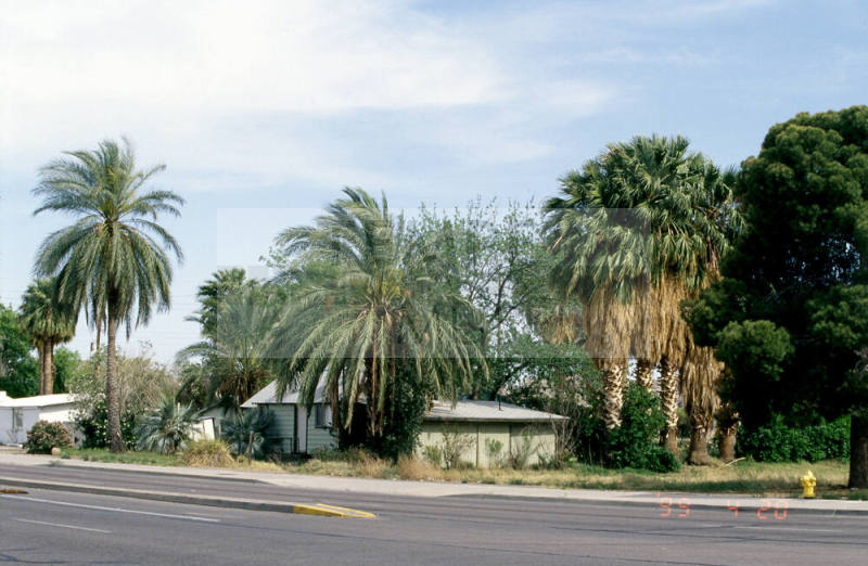 2315 E. Apache Blvd.