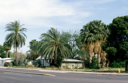 2315 E. Apache Blvd.