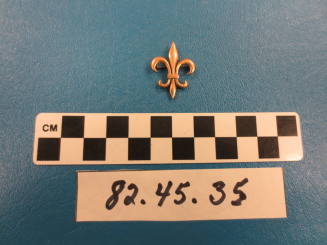 Pin, Boy Scout Fleur-Delis