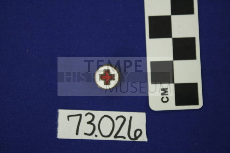 Occupational Pin