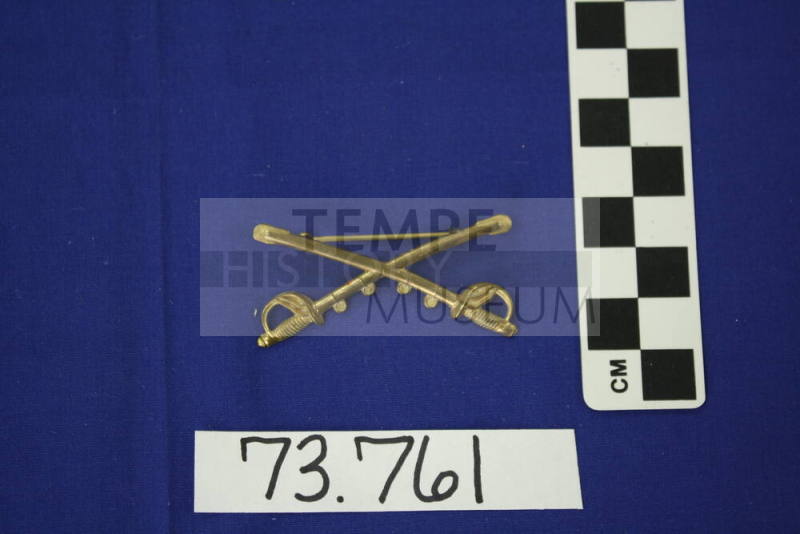 Cavalry insignia associated with Rough Riders (Crossed swords)