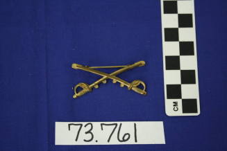 Cavalry insignia associated with Rough Riders (Crossed swords)