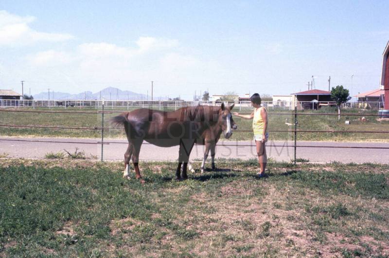 Carnal Horse in Calle de Caballos