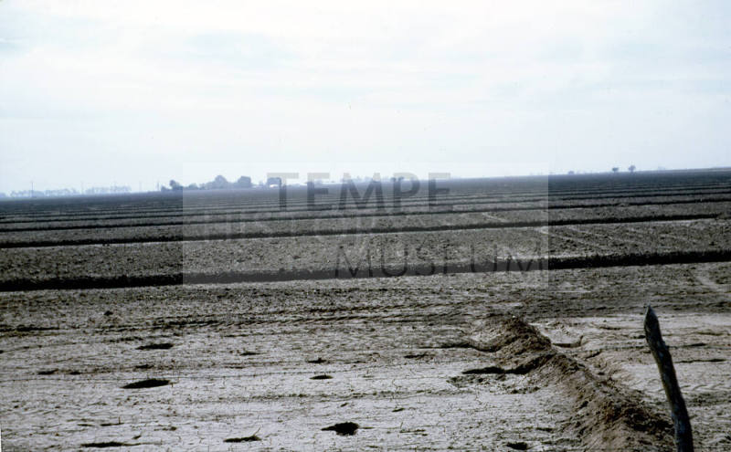 Irrigated farm land