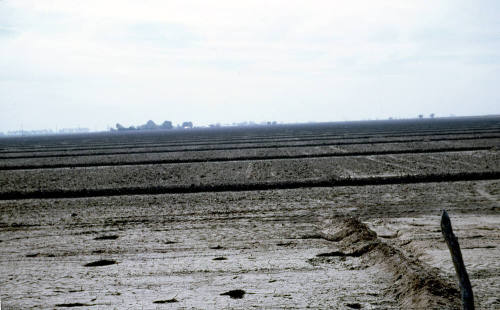 Irrigated farm land