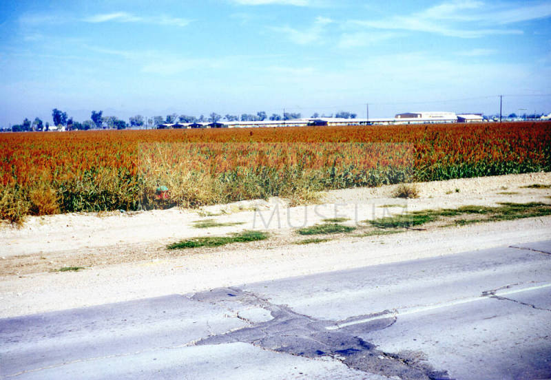 McClintock High School and farm land