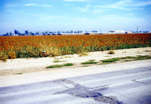 McClintock High School and farm land