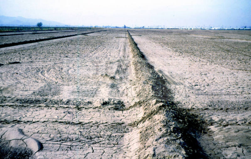 Irrigated farm land near Southern & McClintock