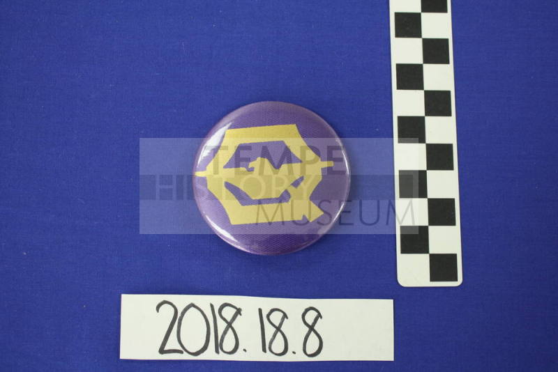 Valley National Bank Pin