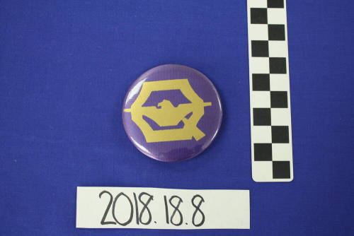 Valley National Bank Pin