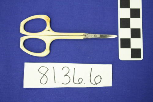 Manicure Scissors