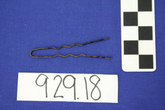 Hairpin