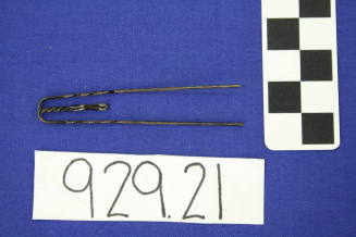 Hairpin