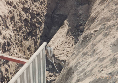 Northbound Overpass Falsework