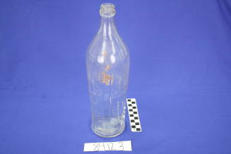 Bottle