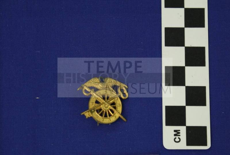 Military insignia
