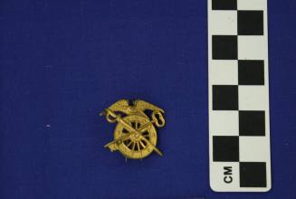 Military insignia
