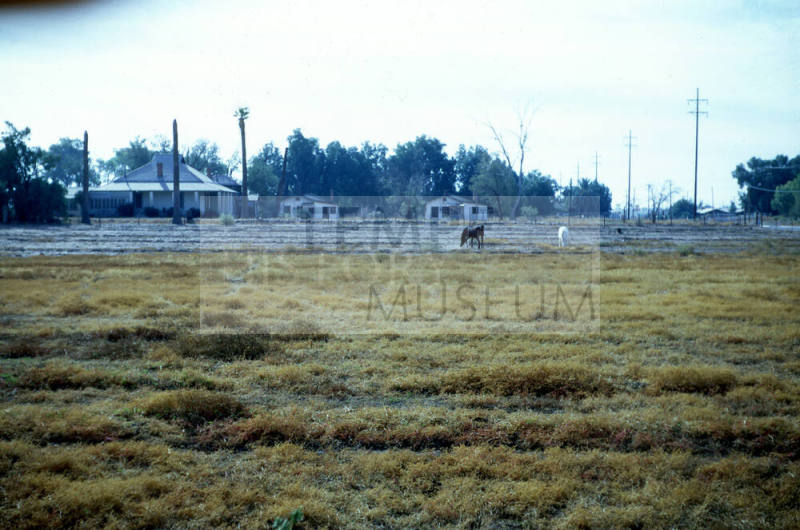 Hayden Ranch at University & McClintock